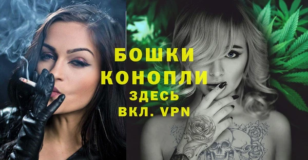 Альфа ПВП Арсеньев