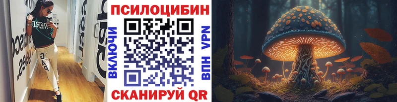 Псилоцибиновые грибы GOLDEN TEACHER  Полевской 